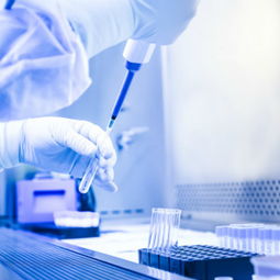 技术服务采购 价格策略与供应商信息管理